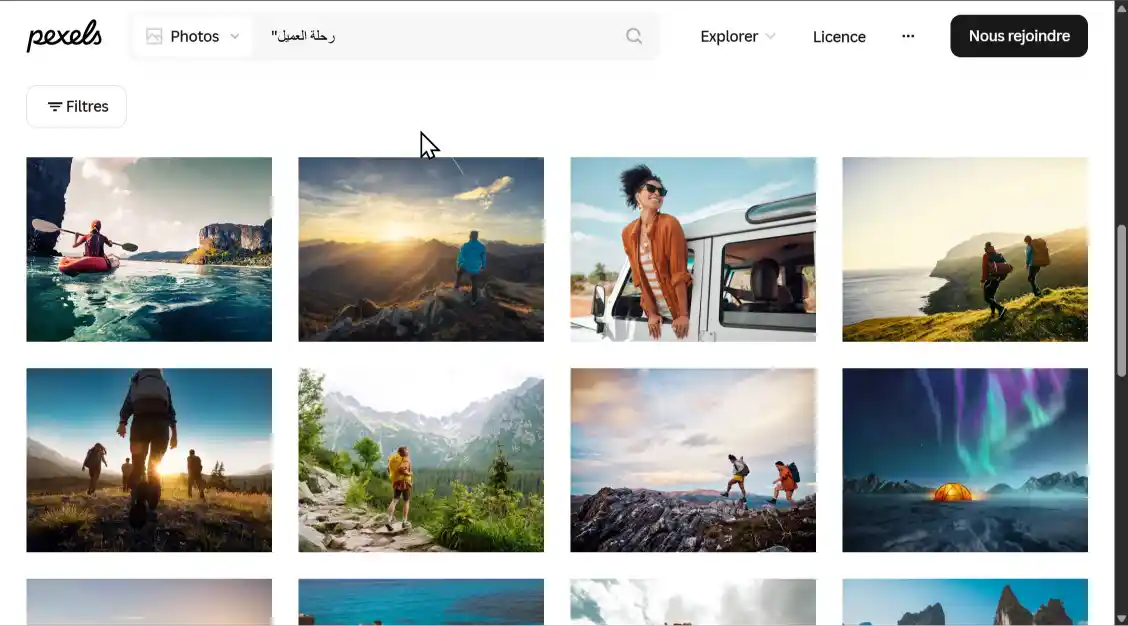 مثال على بحث فاشل في مكتبة الصور